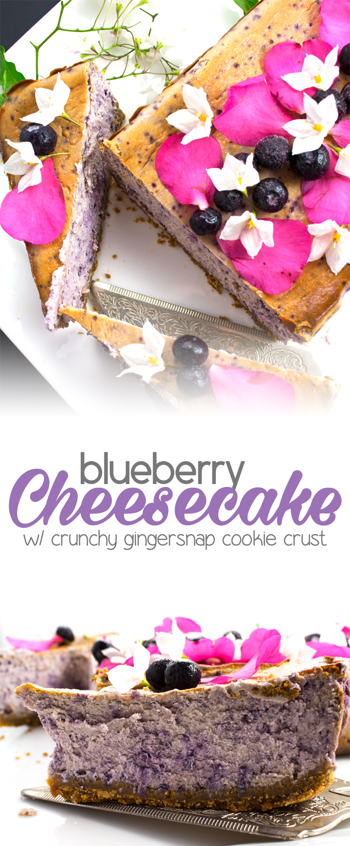 Blueberry Cheesecake Loaf - Extremely smooth & creamy with gingersnap cookie crust! Delicious & vegetarian!!