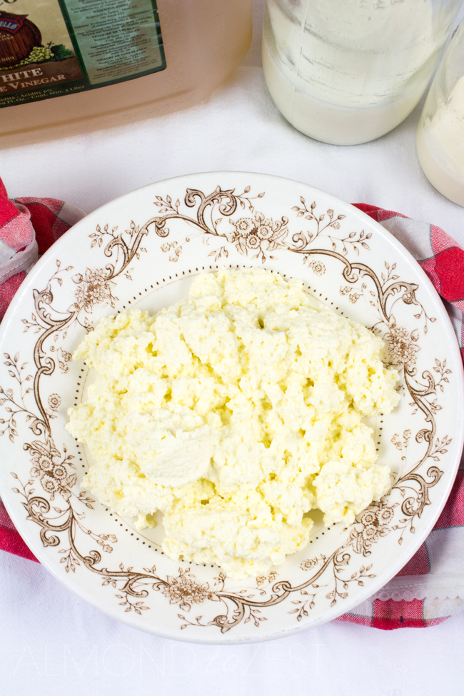 How To Make Ricotta Cheese - Why buy ricotta cheese when it's unbelievably easy and cheap to make? Healthy, low in fat, gluten-free and vegetarian - takes less than 30 mins to make!!