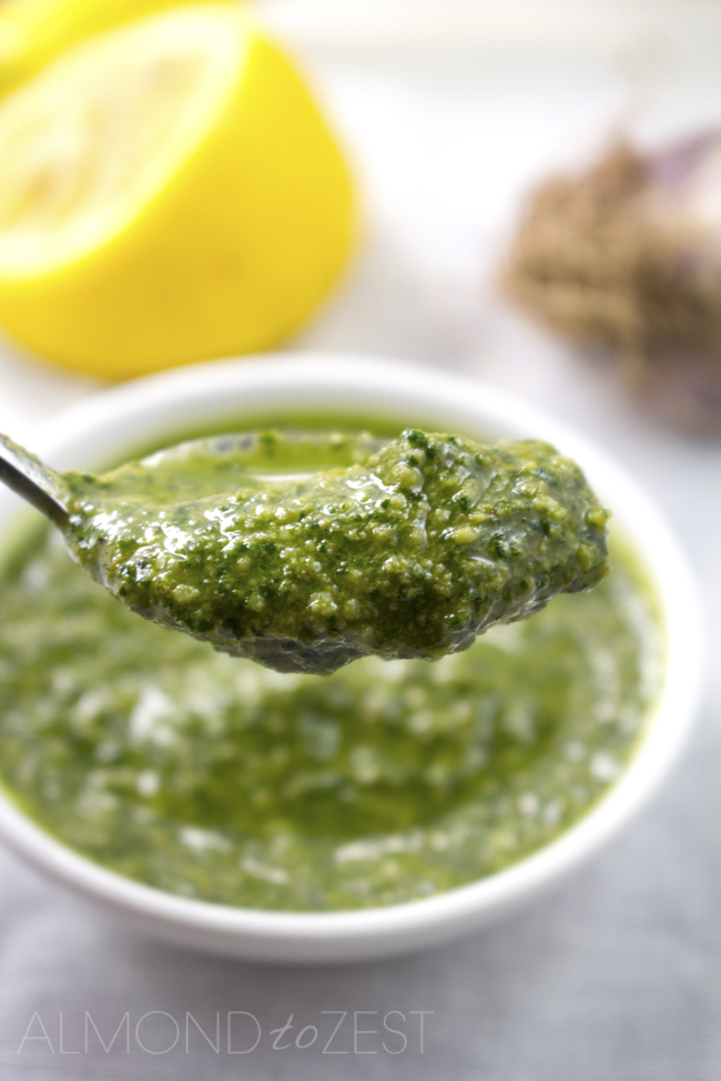 The perfect quick and easy homemade cilantro pesto! Never buy store bought again. Goes with pasta, bruschetta, meat, salad etc. LESS THAN 10 MINS TO MAKE!
