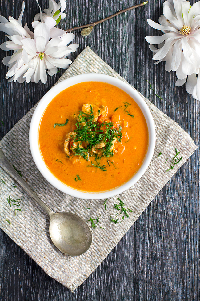 Spicy Chicken, Tomato and Coconut Soup