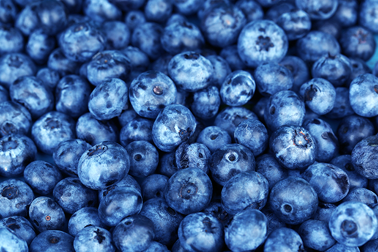 The 10 Best-Ever Weight-Loss Superfoods - Slim down and save your life with the help of these incredible eats!
