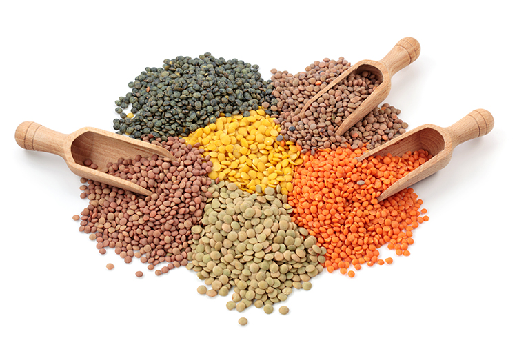 The 10 Best-Ever Weight-Loss Superfoods - Slim down and save your life with the help of these incredible eats!